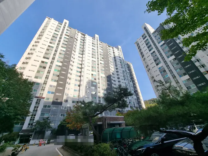 소나무 너머로 올려다본 22층 동