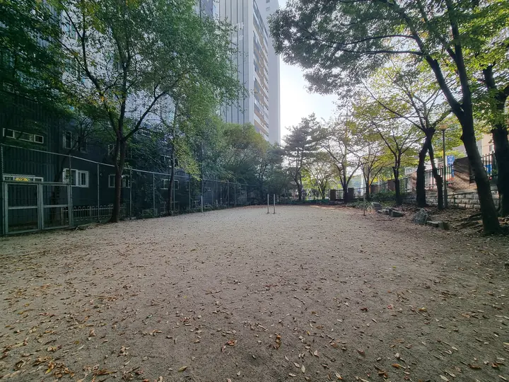 나무로 둘러싸인 흙 마당