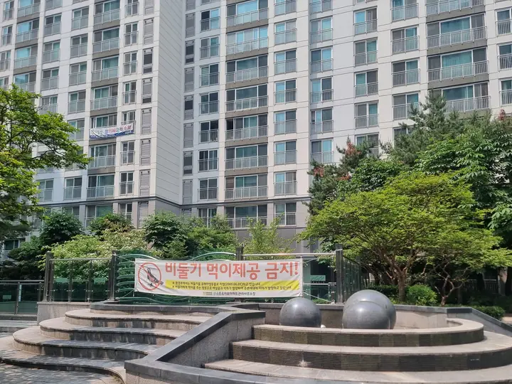 돌구슬 조형물이 있는 계단식 분수 광장