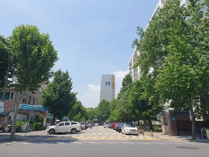 플라타너스 가로수길과 19동