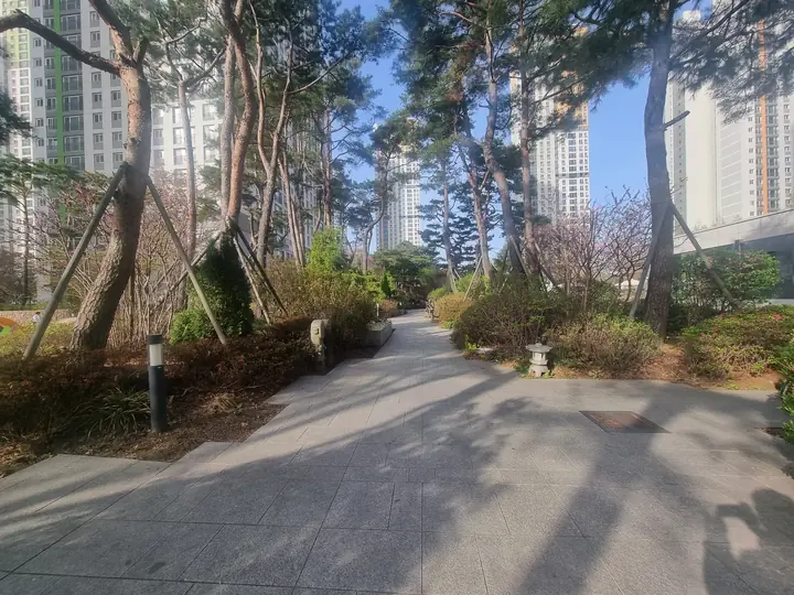 소나무 사이로 넓게 난 산책로
