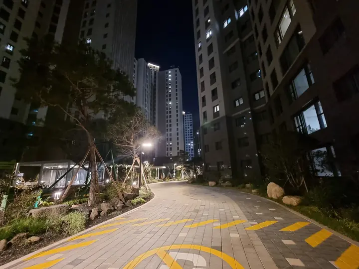 소나무 사이로 굽어 도는 단지 안 길
