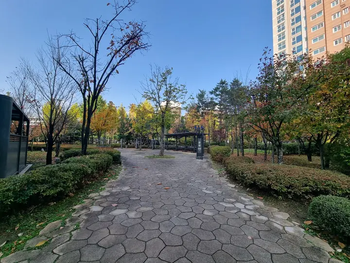 나무 사이로 이어진 육각 돌판 산책길