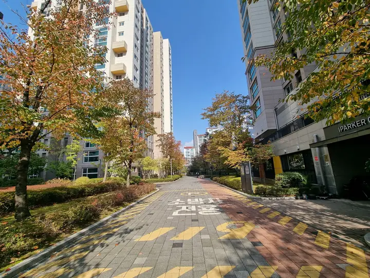 단풍 든 가로수가 늘어선 'IPARKER CENTER' 앞길