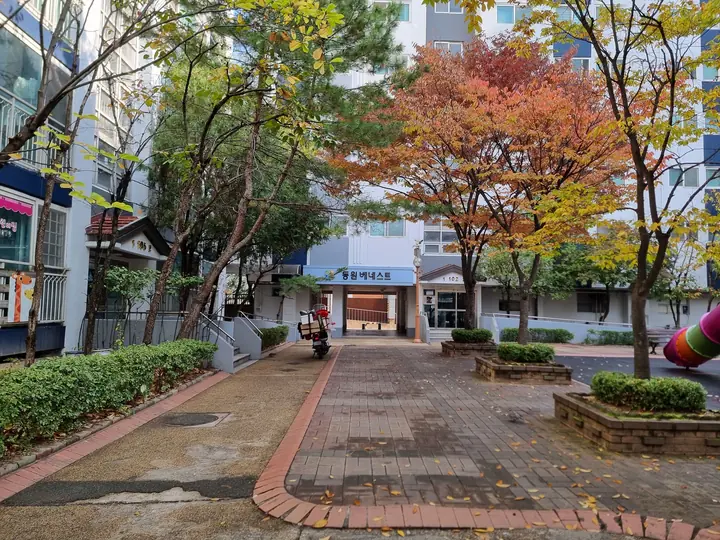 붉게 물든 나무가 선 동 사이 마당