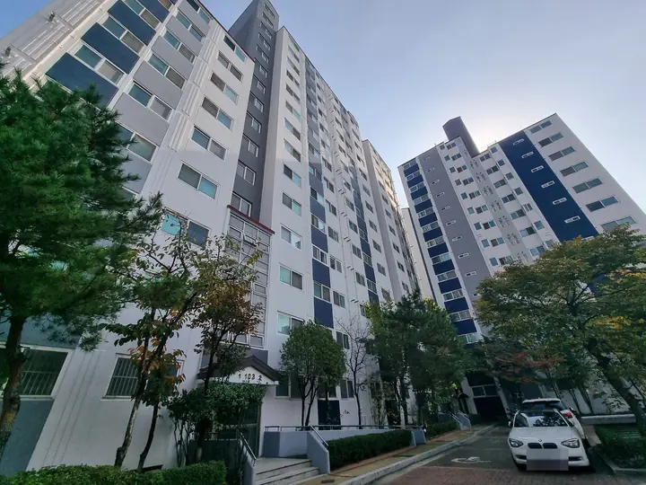 나무 사이로 올려다본 14층 동