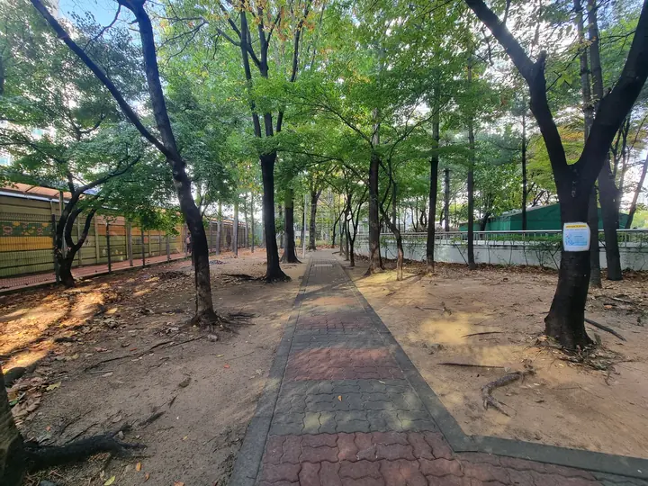 나무 그늘이 드리운 담장 옆 흙길 산책로