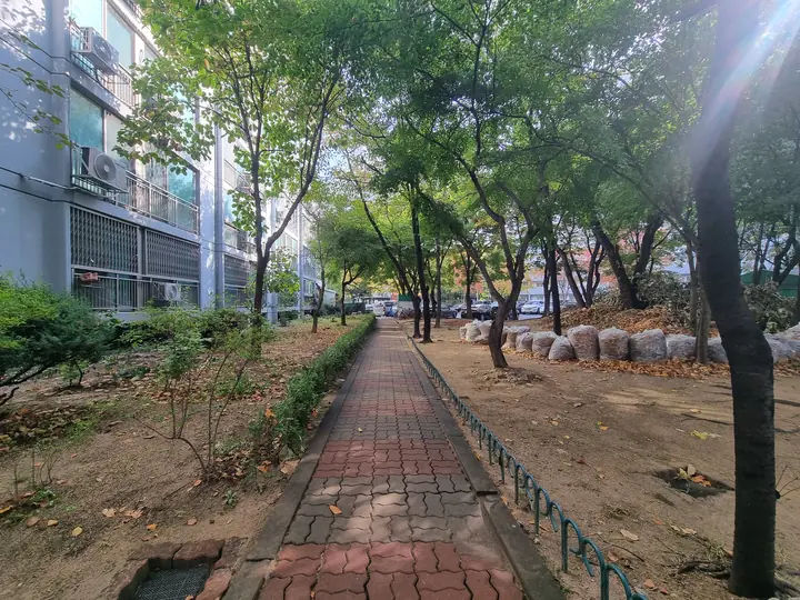 저층부를 따라 난 나무 사이 보도