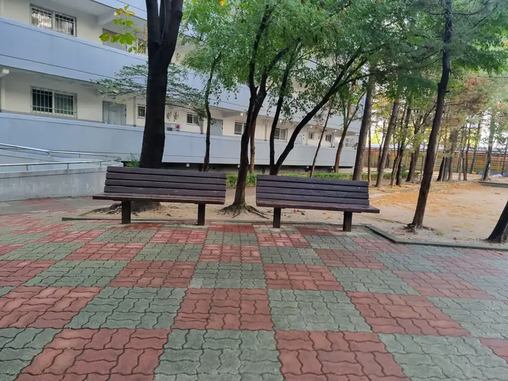 나무 아래 나란히 놓인 벤치