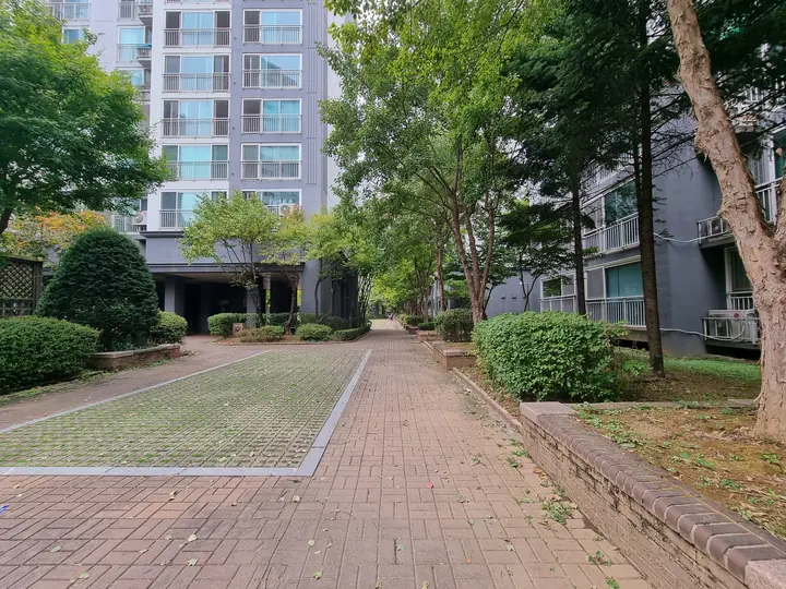 잔디블록 화단을 낀 동 사이 보행로
