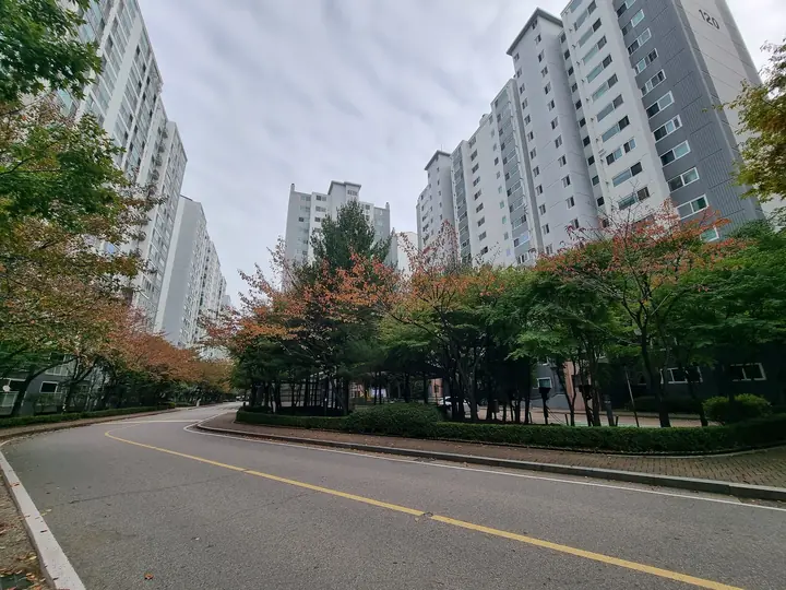 단풍 든 가로수가 이어지는 단지 안 순환도로
