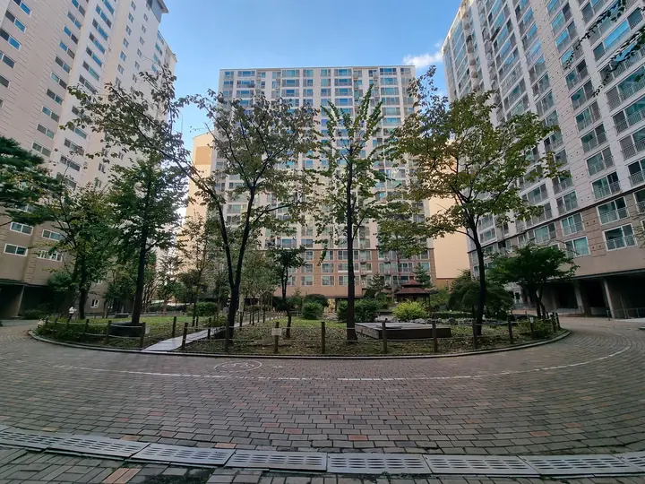 나무를 심은 원형 중앙 정원