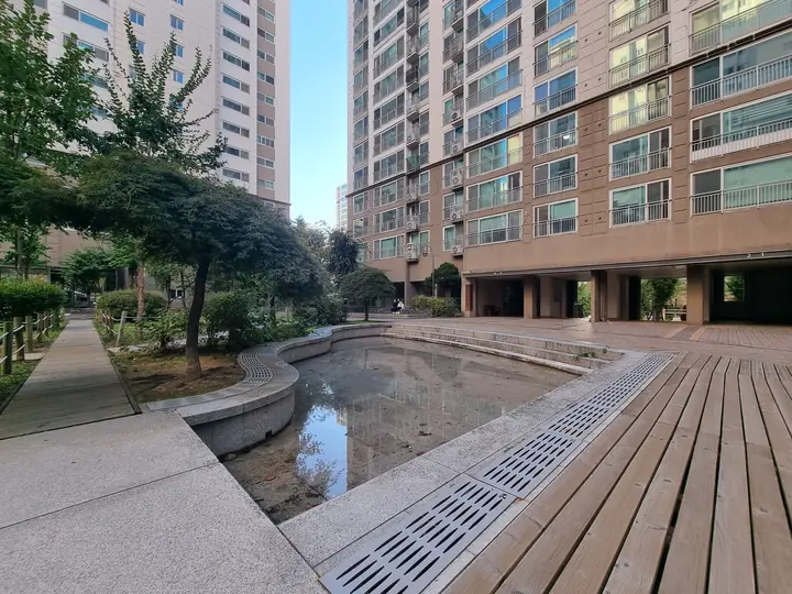 데크로 둘러싼 얕은 물길