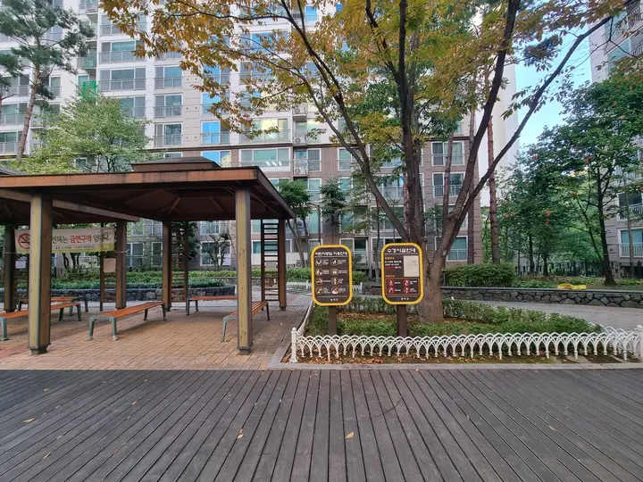 큰 나무 옆 벤치와 그늘막 쉼터