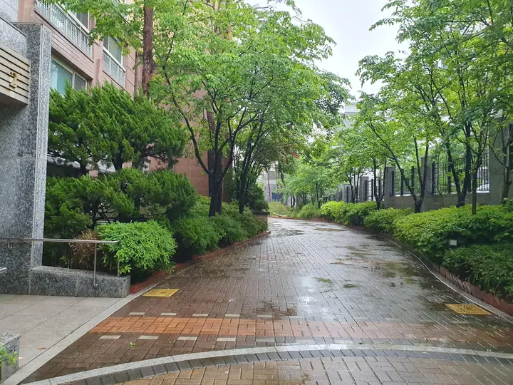나무 사이 산책로