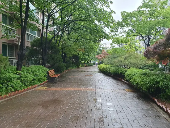 벤치가 놓인 산책로