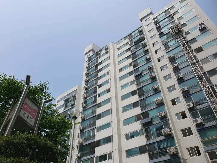 올려다본 동 전경
