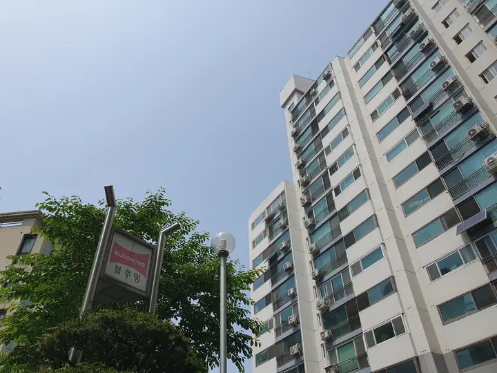 단지 표지 너머 동