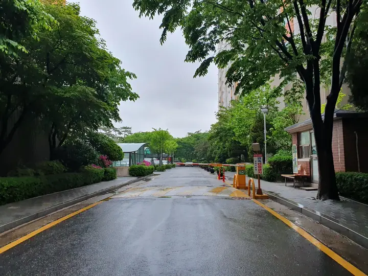 가로수가 선 안길