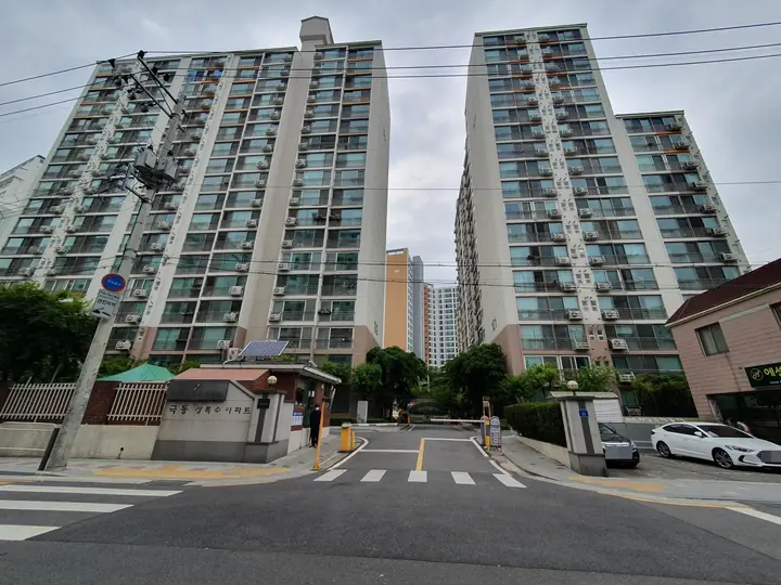 극동상록수 대표 사진