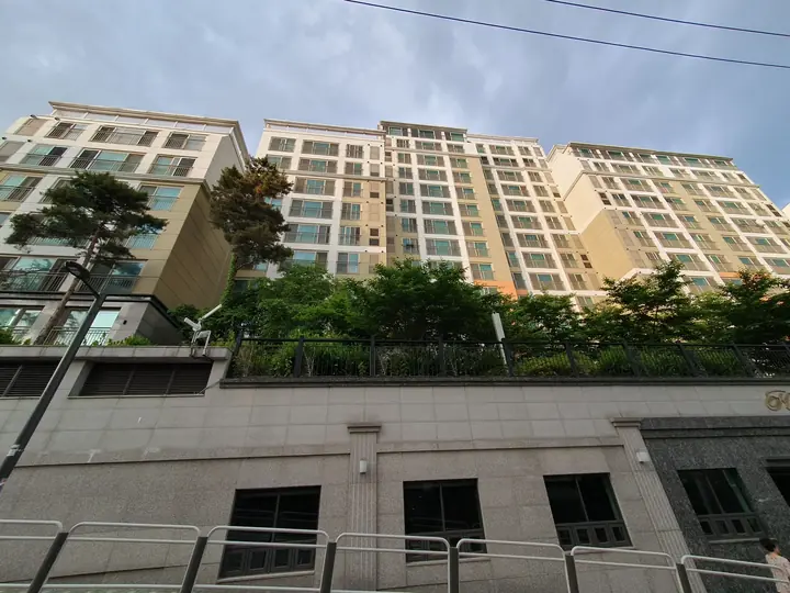 옹벽 위로 올려다본 동