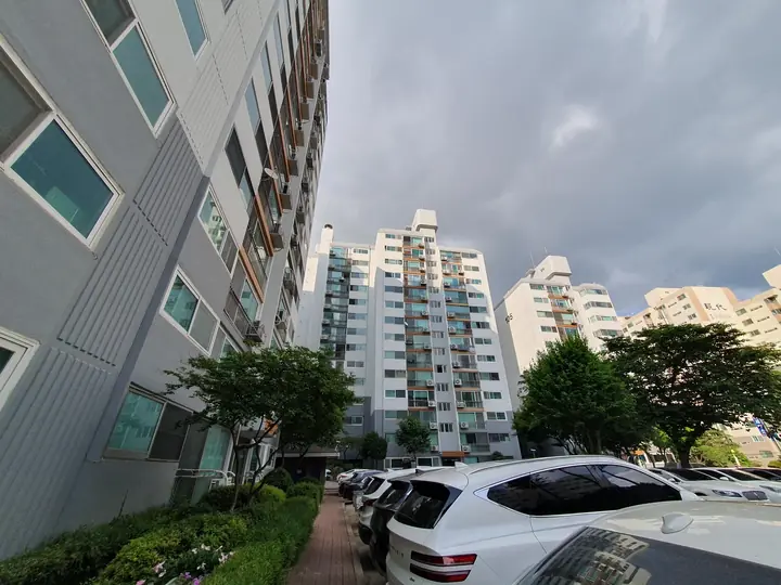동 사이로 본 단지 전경