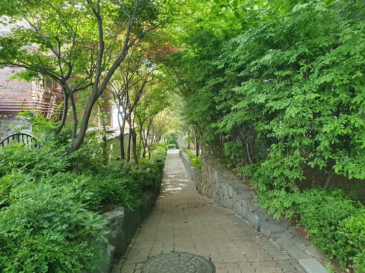 담장을 따라 이어진 산책로