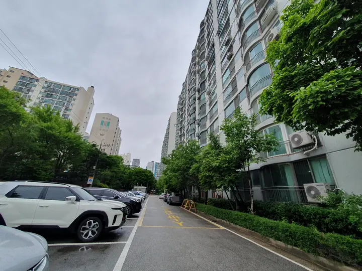 동을 따라 난 주차 안길