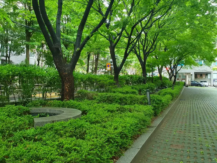 느티나무 아래 정원