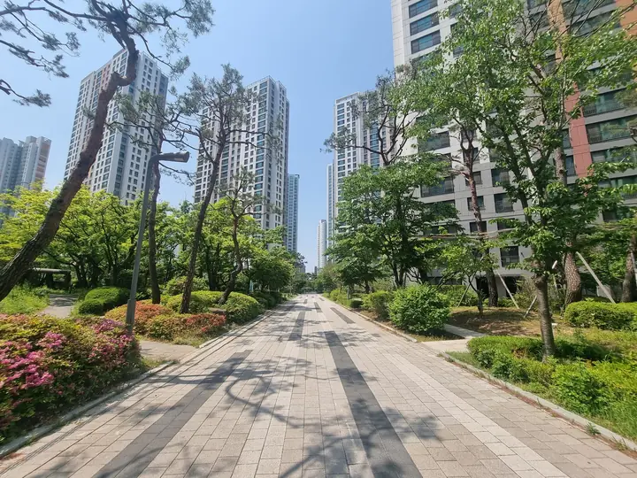나무 그늘이 드리운 단지 안 보행로