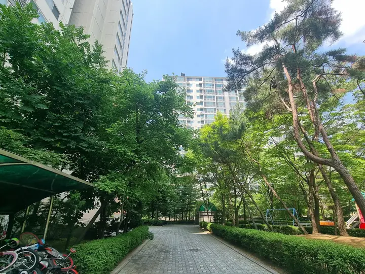 자전거 보관대 옆 숲길